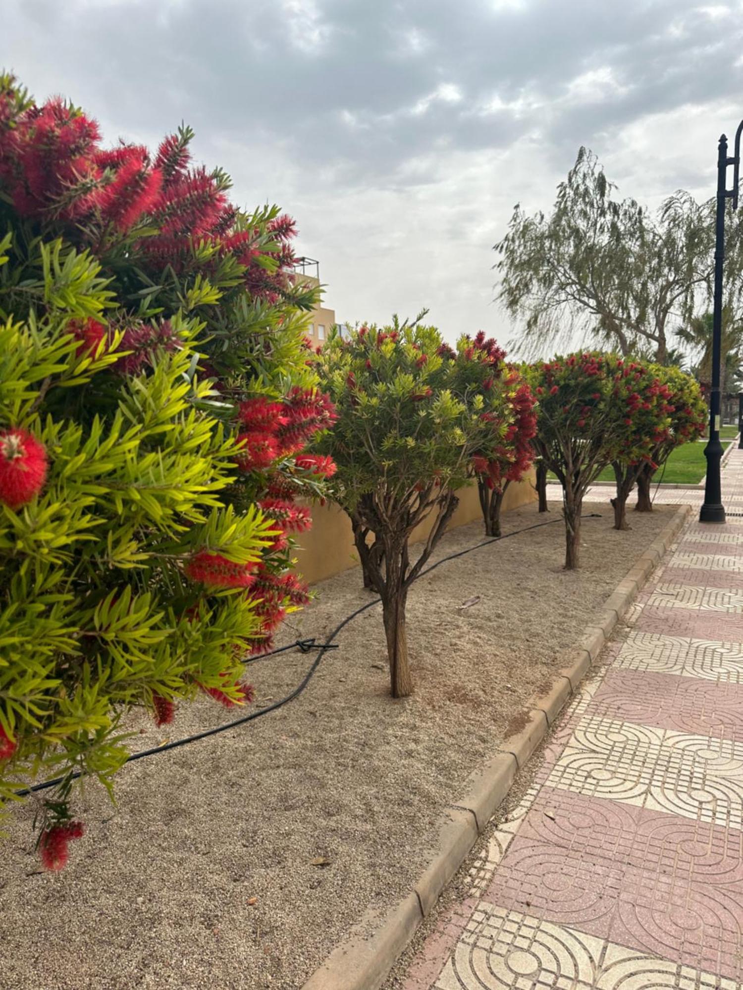 Aguadulce Sol Y Playa- A/C Apartment Roquetas de Mar Ngoại thất bức ảnh